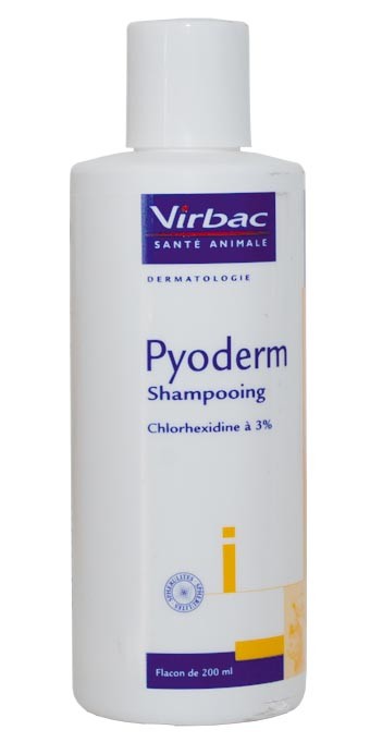pioderm šampon veterinarska apoteka tommy