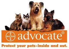 advocate_protib_buva