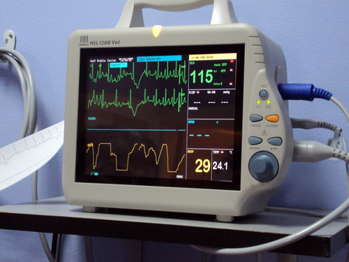 veterinarska ambulanta tommy ekg zapis 2